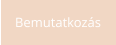 Bemutatkozás